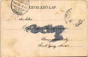 1906 Szamosújvár, Gherla; Népkerti részlet / park (EK)