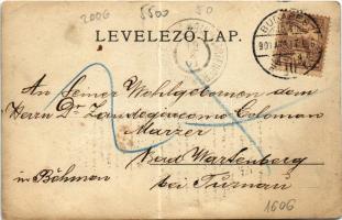 1901 Budapest, X. Országos Tűzoltó szaktanfolyam csoportképe, Gyulafalvai Bulyovszky Aladár minist. ...