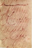 Ordo Universalis taxarum Processualium a I. Maji 1786.
Posonii (Pozsony), Sumptibus Joannis Michael...