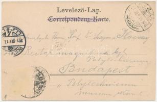 1901 Báziás, Vasútállomás, Vasúti szálloda, tejcsarnok, szőlőhegyek, Csendőr laktanya / railway stat...