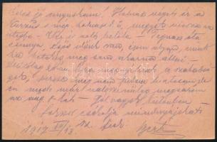 1917 Tábori posta levelezőlap "M. kir. 20. honvéd (...) + "EP 243" 1917 Field card &q...