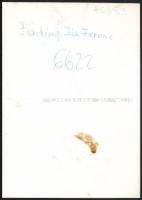 Kútvölgyi Mihály (1944-2023): Badiny Jós Ferenc (1909-2007) autodidakta történetíró, nyelvész, sumer...