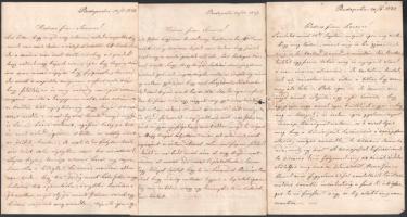 1857-1870 közötti családi levelezés kb 40 db levél