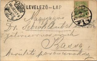 1905 Nyitra, Nitra; nyaraló / villa. photo (EK)