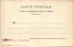 Neuchatel, Hotel Terminus, Hotel des Alpes (EK)