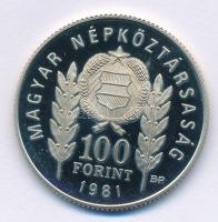 1981. 100Ft Cu-Ni-Zn "Bulgária 1300 éves" T:AU (eredetileg PP) fo. 
Adamo EM67