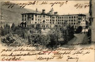 1905 Scuol-Tarasp, Hotel Waldhaus Vulpera (tear)