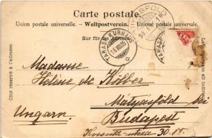 1905 Scuol-Tarasp, Hotel Waldhaus Vulpera (tear)