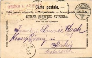 1899 (Vorläufer) Lenzburg, general view (fl)