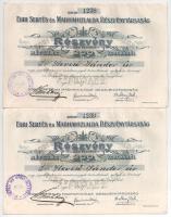Eger 1917. "Egri Sertés- és Marhahizlalda Részvénytársaság" részvénye 200K-ról szárazpecsé...