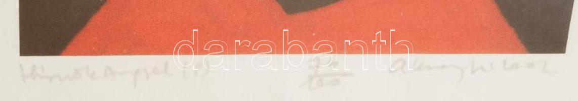 Aknay János (1949- ): Hírnökangyal, computer, papír, jelzett, számozott (76/100), 23,5×15,5 cm, üveg...