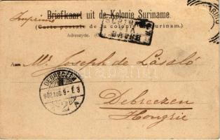 1902 Paramaribo, Overdekte Markt, Heiligen Weg / market, street view (EB)