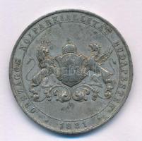 1881. "Országos Nőiparkiállítás Budapesten" Sn emlékérem. "KOBURG HERCEGNÉ AZ ORSZ.NŐ...