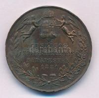 1881. "Országos Nőiparkiállítás Budapesten" Br emlékérem "Knopp J. és Steiner" g...