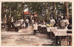 Gyopárosfürdő (fa)