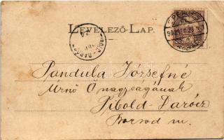 1900 Nagysáros, Velky Saris; Sárosi vár romjai. Fénynyomat Divald műintézetéből / Sarissky hrad / ca...