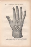 Szathmáry László: Magyar alkémisták. 115 rajzzal a szövegben és 1 színes melléklettel.
Budapest, 19...