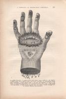 Szathmáry László: Magyar alkémisták. 115 rajzzal a szövegben és 1 színes melléklettel.
Budapest, 19...