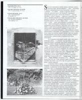 Herczeg Ibolya (szerk.): Samu Géza kiállítása. Bp., 1988, Ernst Múzeum. Fekete-fehér és színes képek...