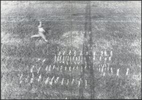 Bukta Imre kiállítása. Helikon Galéria, 1981. A művész, Bukta Imre (1952-) által ALÁÍRT példány! H.n...