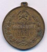 1881. "Debreczen 1881 Augustus Hó / Az iparos ifjúság munkakiállítás emlék érme" bronz eml...