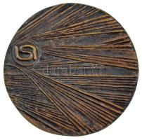 ~1970. "ISI" textil- és fonógyárat ábrázoló öntött, kétoldalas bronz emlékérem (77mm) T:AU