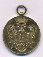 ~1900-1910. "A Miskolczi Ev. Ref. Főgimnázium házi versenye" bronz díjérem, füllel. Körmöc...