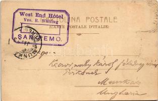 1904 Sanremo, San Remo; Panorama presso dalla Villa Brigida (EK)