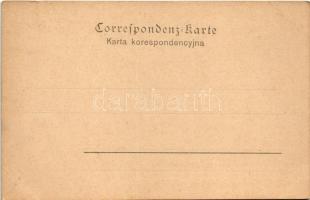 Kraków, Krakkó, Krakau; Dziedziniec Biblioteki Jagiellonskiej / Bibliothek / library. Art Nouveau, f...