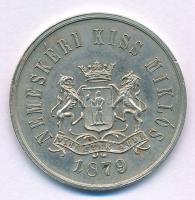 1879. "Véghlesi Uradalom - Hrinyova / Nemeskéri Kiss Miklós 1879" fém bárca 1Ft értékben, ...