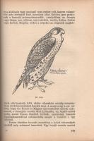 László Gyula: A honfoglaló magyar nép élete.
Budapest, 1944. Magyar Élet (Pesti Lloyd-nyomda). 512 ...