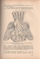 László Gyula: A honfoglaló magyar nép élete.
Budapest, 1944. Magyar Élet (Pesti Lloyd-nyomda). 512 ...
