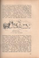 László Gyula: A honfoglaló magyar nép élete.
Budapest, 1944. Magyar Élet (Pesti Lloyd-nyomda). 512 ...