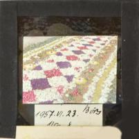 1956 Budaörsi virágünnep, 2 db diapozitív, 3,5×2,5 cm