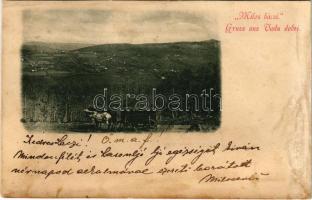 1900 Vádudobri, Vadu Dobrii (Hunyad); Milos bácsi: Valószínű Milosevits Dusán, szénszállítási vállalkozó szekere és levele / Probably Milosevits Dusán coal transport contractor&#039;s horse cart and letter (Rb)