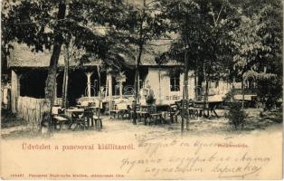 1905 Pancsova, Pancevo; Kiállítás, Halászcsárda. Pancsovai Népkonyha kiadása / Exhibition, restaurant + &quot;KUBIN - VERSECZ 206. SZ.&quot; vasúti mozgóposta bélyegző (EM)