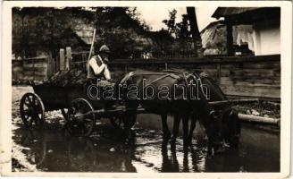 Csík megye, itató székely. Andory Aladics Zoltán mérnök felvétele / Comitatul Ciuc, Transylvanian folklore (b)