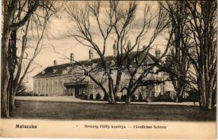 1910 Malacka, Malatzka, Malacky; Herczeg Pálffy kastélya. Wiesner Alfréd Nr. 21. / castle (r)