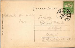 1910 Malacka, Malatzka, Malacky; Herczeg Pálffy kastélya. Wiesner Alfréd Nr. 21. / castle (r)