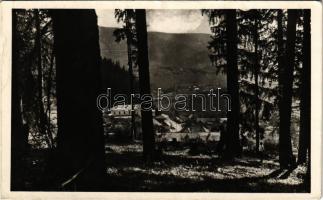 Borszék, Borsec; látkép alsó Borszék felé. Heiter György udvari fényképész felvétele és kiadása / general view