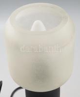 Asztali lámpa üveg test, üveg búra, levél mintás, többrétegű, homokfúvott, csiszolt, jelzett (Pataki...