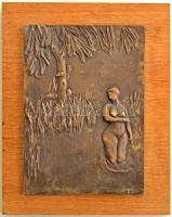 Konyorcsik János (1926-2010) DN &quot;Zsuzsanna és a vének&quot; bronz plakett falra akasztható (233x170mm) fatáblán (236x296mm). Munkácsy-díjas művész. T:UNC