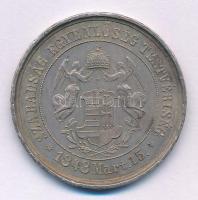 Arad 1874. "Az aradi vértanúk kivégzésének 25. évfordulójára" Sn emlékérem. "SZABADSÁ...