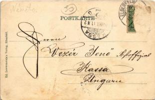 1900 Elberfeld, Gondelteich im Zoologischen Garten. Ed. Loewenstein Art Nouveau, floral, litho (Rb)