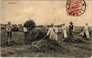 1920 Eesti, Heinalised / Estonian folklore (ragasztónyom / glue marks)