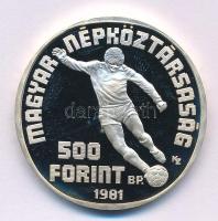 1981. 500Ft Ag "Labdarúgó Világbajnokság 1982" T:AU (PP) Adamo EM65