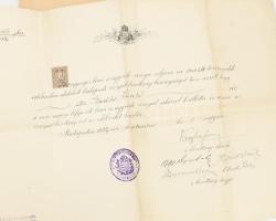 cca 1900-1950 Ügyvéd hagyatékból származó iratok, össz. 12 db, közte esküminták, bizonyítványok, az ...