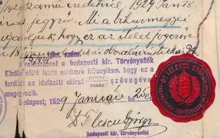 1929-1931 Erdélyi magyar személy visszahonosítási okiratai, 4 db, közte román nyelvű irat és annak m...