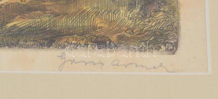 Gross Arnold (1929-2015): Városligeti-tó. Színezett rézkarc, papír, jelzett, foltos, 29x39 cm Üvegez...