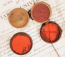 1905 Budapesti Kir. M. Tudományegyetem orvosdoktori diplomája, Szegő Ernő orvos részére, pergamen, k...